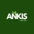 Ankis limited